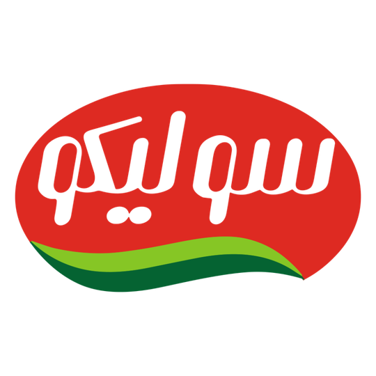 لوگوی شرکت سولیکو کاله