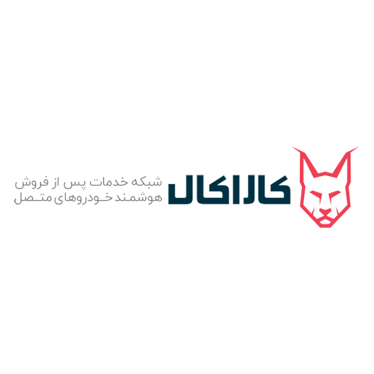 لوگوی شرکت دیارا نوآوران خودرو